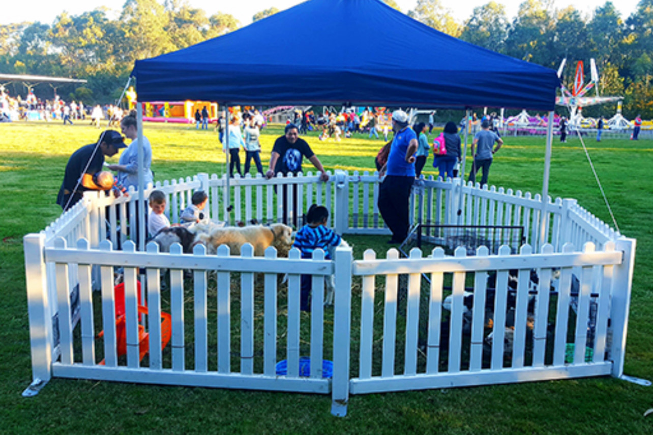 Petting zoo hire for Sydney family events